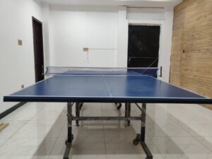 Table Tennis